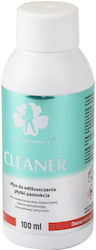 NTN Premium Cleaner 100ml 59812