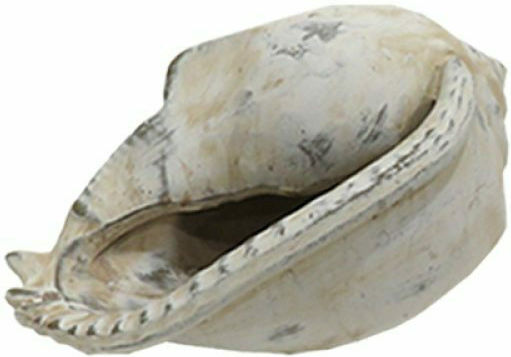 Art et Lumiere Decorative Seashell Shell made of Stone 18.5x14x11cm 1pcs