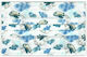 Soft Care 121.011.K Protective Mask Non-Reusable Type IIR Surgical Kids Blue 121.011.SP.K.IIR 50pcs