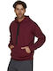 Maripo Sweatshirt with Hood Burgundy