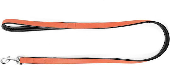 Gloriapets Hundeleine/Führleine Leder Padded Soft in Orange Farbe 1m x 1.8cm