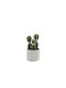 Atmosphera Artificial Plant in Small Pot Cactus Green 17cm 1pcs