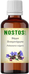 Nostos Pure Βάμμα Πνευμονόχορτο 50ml