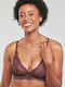 Amourette Charm Chocolate Bra without Padding & without Underwire