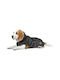 Hunter Norton 360 Uppsala Hundemantel Wasserdicht Schwarz mit Rückenlänge 60 cm.