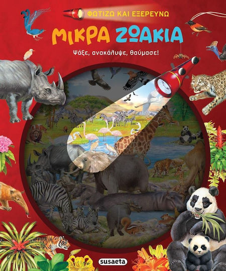 Little Animals, Illuminate and explore
