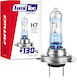 AMiO Lamps Car Lumitec Limited H7 Halogen 12V 55W 1pcs