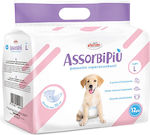 Record Assorbi Piu Diaper Pants Dog Large 70cm 12pcs