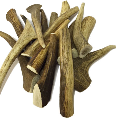 Antos Κέρατο Σκύλου Μικρόσωμων Φυλών από Ελάφι 50gr