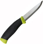 Morakniv Companion Messer Olive Green mit Klinge aus Rostfreier Stahl in Scheide