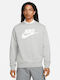 Nike Men's Sweatshirt Gray