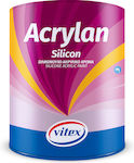 Vitex Acrylan Silicon Plastic Acrilyc Paint for Exterior Use 0015 White Glove 3lt