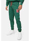 Sweatpants with Elastic Green