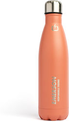 Emerson Recyclable Stainless Steel Thermos Bott...