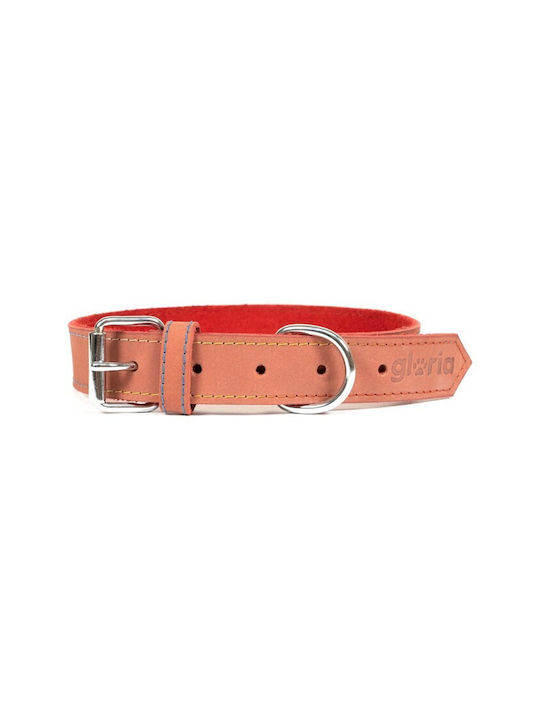 Gloria Oasis Dog Collar Leather In Red Colour 30mm x 65cm