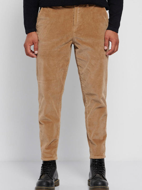 Trousers in Regular Fit tobacco