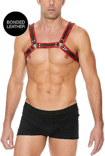 Shots Ouch! Buckle Bulldog Harness Black / Red