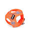 Gloriapets Hundegeschirr Weste Air Mesh Trek Star Orange Groß 33.4-35cm S6102137