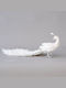 Eurolamp Christmas Plastic Peacock Figure White 59x46x39cm