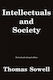 Intellectuals and Society