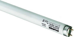 Olympia Electronics Fluorescent Lamp with Shape T8 36W