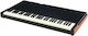 Crumar Arrangeur Mojo 61B mit 61 Tasten Schwarz