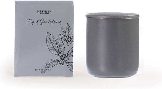 Nef-Nef Homeware 0316 Nef-Nef Homeware 0316