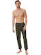 Minerva Men's Winter Cotton Pajama Pants Green