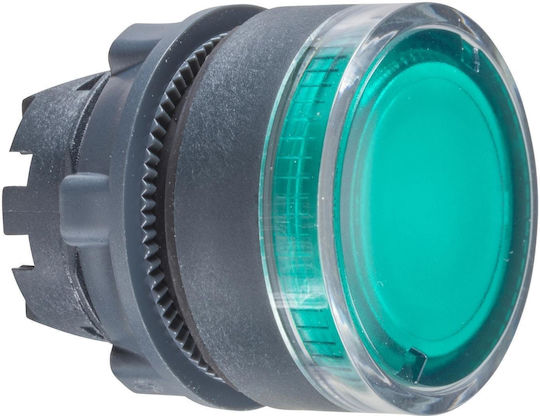Schneider Electric On-Off switch Pushbutton with Lighting Φ22 Green 1pcs
