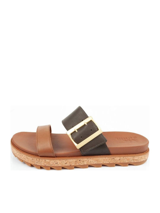 Sorel