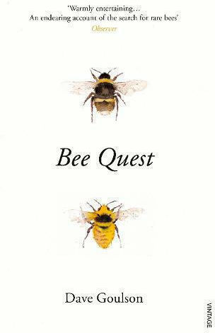 Bee Quest Bee Quest