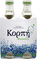 Korpi Apă Plata Carbonat Fysalis 4x330ml Korpi Apă Plata Carbonat Fysalis 4x330ml