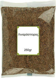 NutsBox Flaxseed 250gr