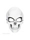 Carnival Mask Full Face Skull