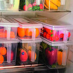 TnS Raftul frigiderului Plastic