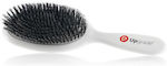 BRUSH EXTENSION OVAL LARGE UPGRADE