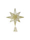 Iliadis Christmas Star Ornament Gold 30x22cm