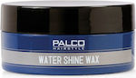 Palco Professional Water Shine Wax Wachs 100ml