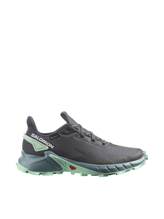 Salomon Alphacross 4 GTX Ανδρικά Αθλητικά Παπού...