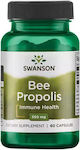 Swanson Bee Propolis 550mg 60 caps