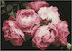 Diamond Dotz Vintage Roses Καμβάς Diamond Painting Κιτ