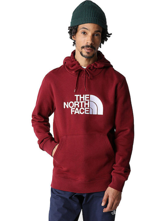 The North Face Drew Peak Φούτερ με Κουκούλα Καφέ