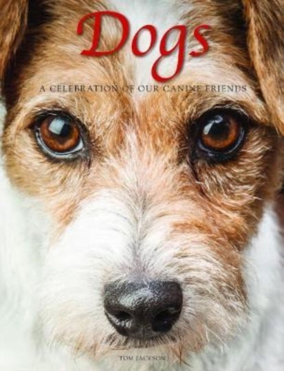 Dogs, A Celebration of our Canine Friends Dogs, A Celebration of our Canine Friends