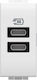Bticino Walled Power Socket with 2 USB Type-C Ports White