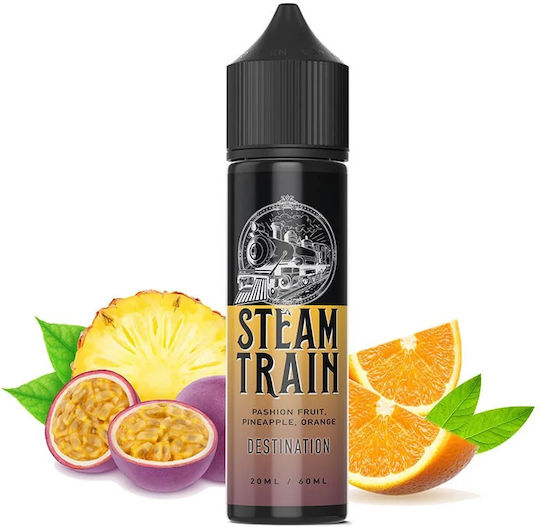 Steam Train Flavor Shot Destination 20ml/60ml 1Stück