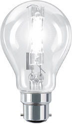 Delux Halogen Lamp Classic for Socket B22 with Power 70W Delux Halogen Lamp Classic for Socket B22 with Power 70W