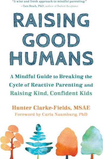 Raising Good Humans, A Mindful Guide to Breaking the Cycle of Reactive Parenting and Raising Kind, Confident Kids