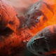 Muse Will Of The People LP