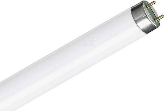 Olympia Electronics Лампа Луминесцентна за Цокъл G13 с Форма T8 15W