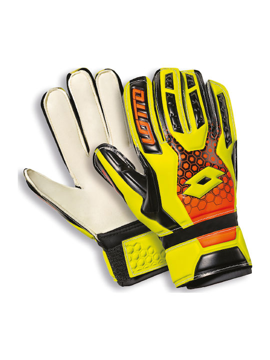 Lotto GK Spider 900 Torwarthandschuhe Kinder Mehrfarbig